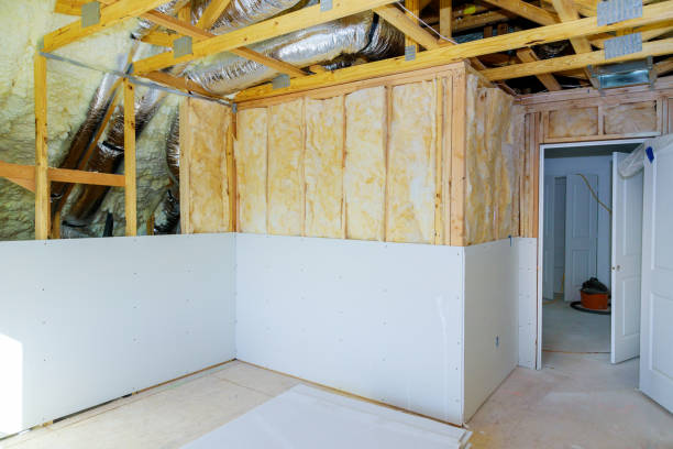 Best Cellulose Insulation in Hurlock, MD