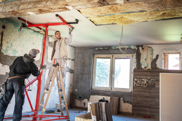 Best Specialized Insulation Services in Hurlock, MD