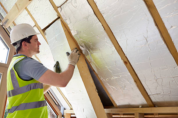 Best Eco-Friendly Insulation in Hurlock, MD