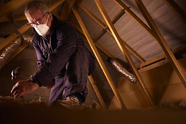 Best DIY Insulation Kits and Guidance in Hurlock, MD